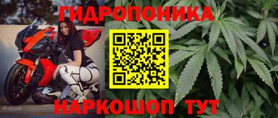 дурь Будённовск