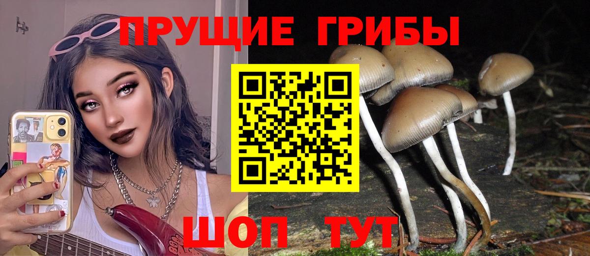 Крымск  Галлюциногенные грибы MAGIC MUSHROOMS  Вход с VPN 